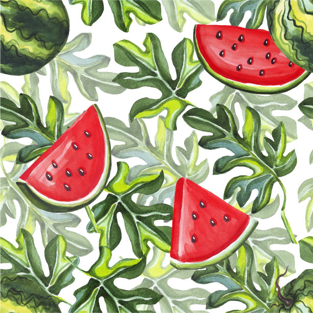 西瓜的模式。水彩插图。手绘图片下载