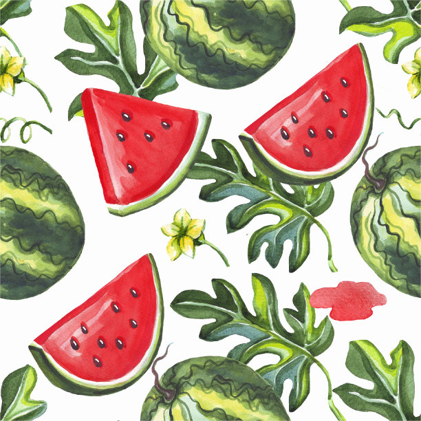 西瓜的模式。水彩插图。手绘图片下载