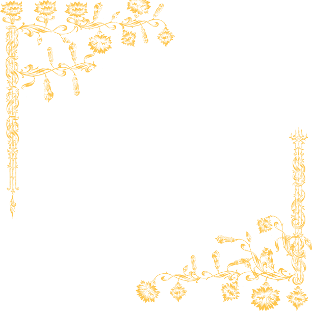 菊花花卉边框图片下载