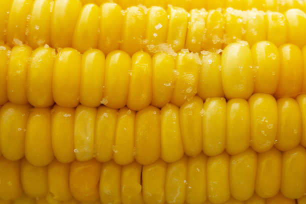 玉米棒子的微距照片。黄种子自然模式图片下载