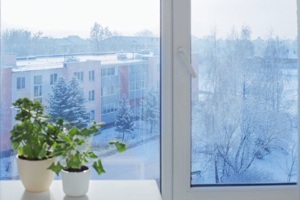 城市冬季景观与室内植物的窗户图片下载