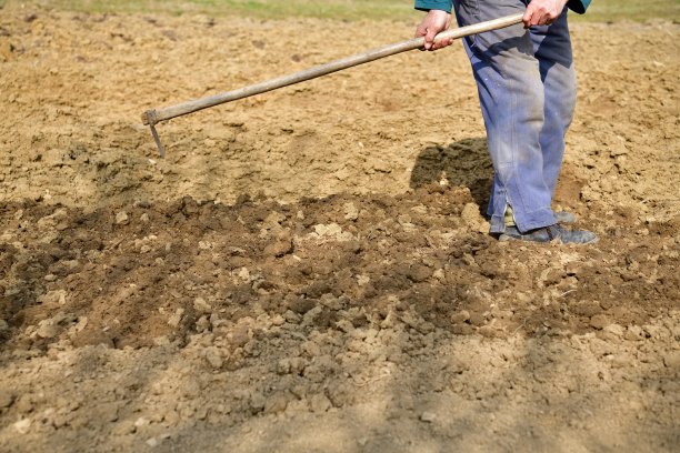 农民在春天播种前先用锄头挖土图片下载