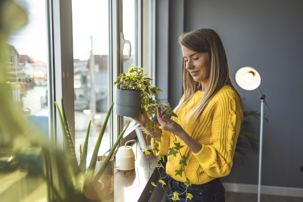 一位年轻女子在照料她的植物。图片下载