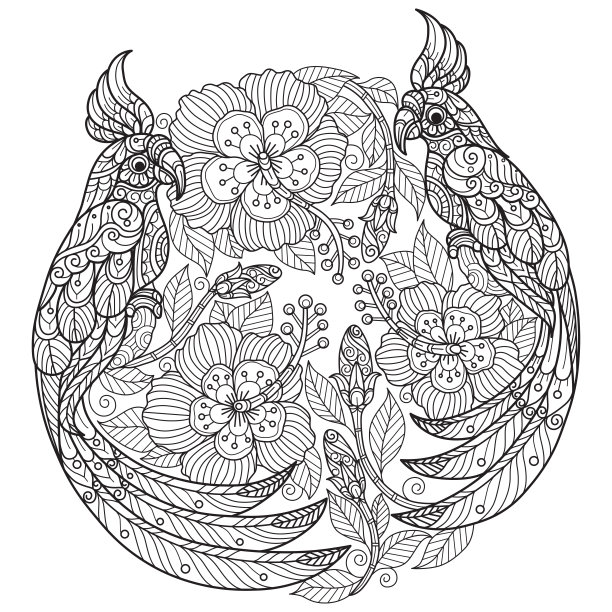 鹦鹉和鲜花。手绘素描插图为成人涂色书图片下载