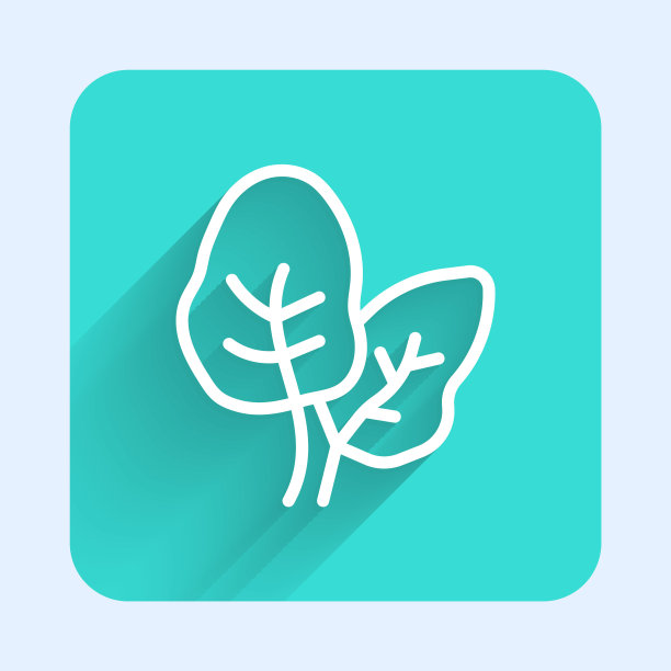 白线热带棕榈叶图标孤立与长阴影背景。绿色广场按钮。向量图片下载