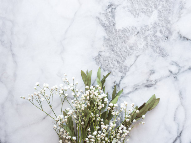 大理石背景上的干花和桉树枝图片下载