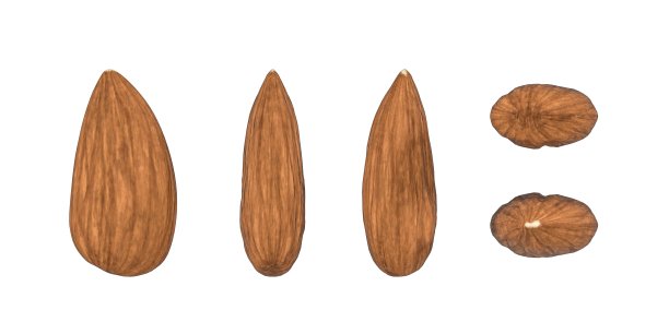 去皮杏仁图片下载