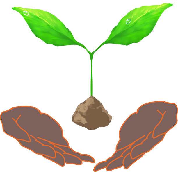 “叶”图片下载