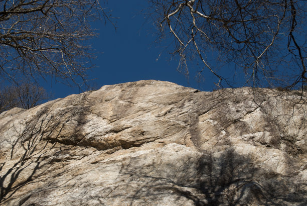 有树的山景图片下载