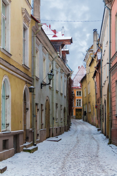 塔林老城的Vaimu街图片下载