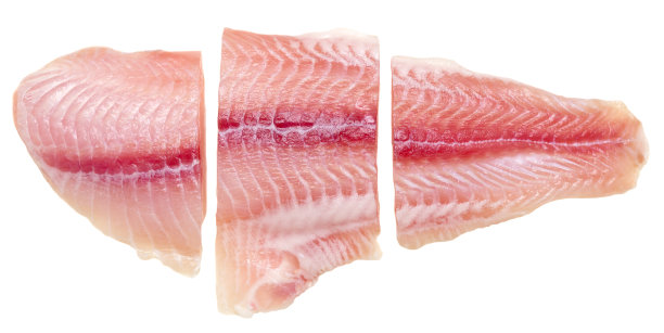 新鲜的鱼图片下载