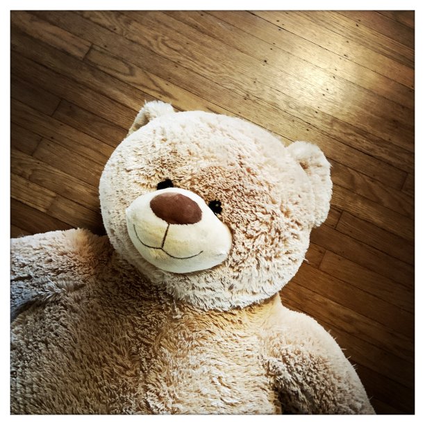 木制地板上的泰迪熊图片下载