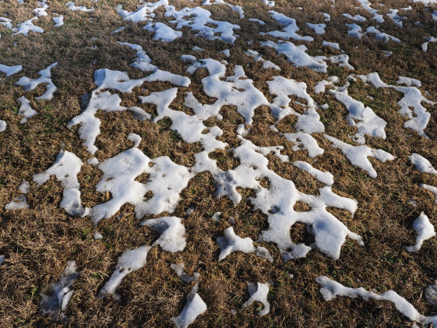 草上融雪图片下载