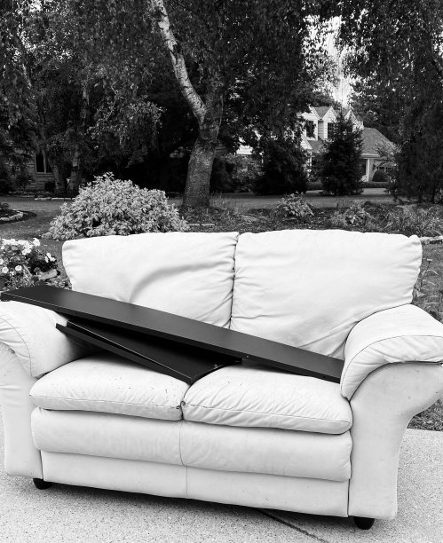 白色沙发出去捡垃圾图片下载