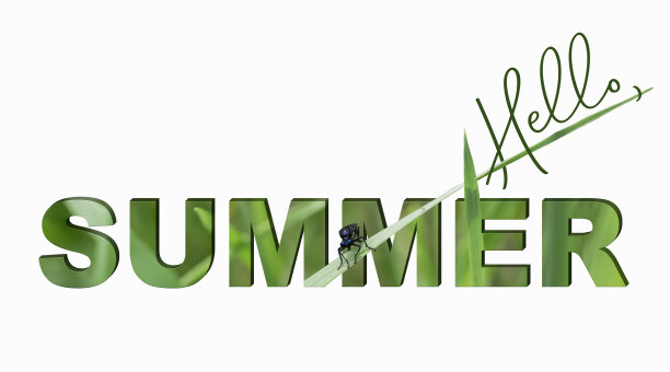 你好,夏天的铭文。图片下载