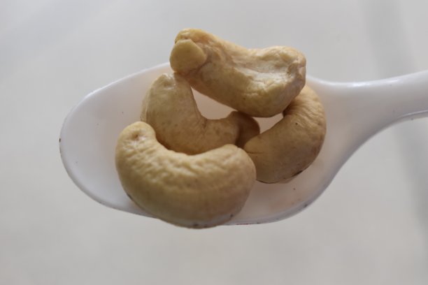 在白色背景上放上腰果或卡珠图片下载