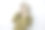 奥凯微笑着手势，政府工作人员自信地站着。PNS穿着卡其制服。图片下载