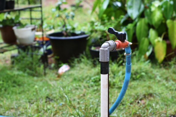 花园里的水龙头图片下载