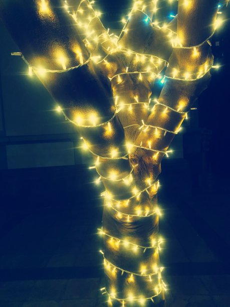 圣诞装饰树图片下载