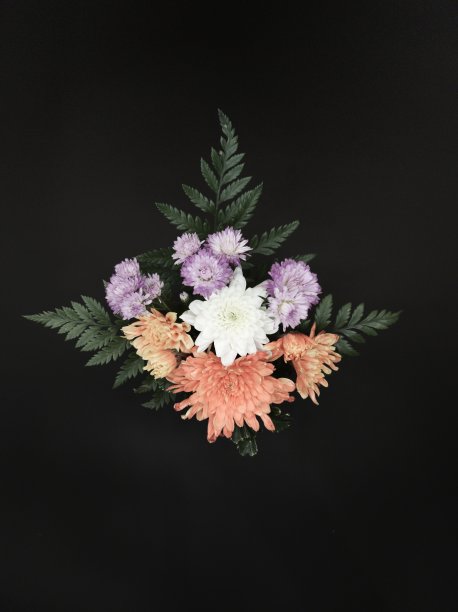 背景上的花。图片下载