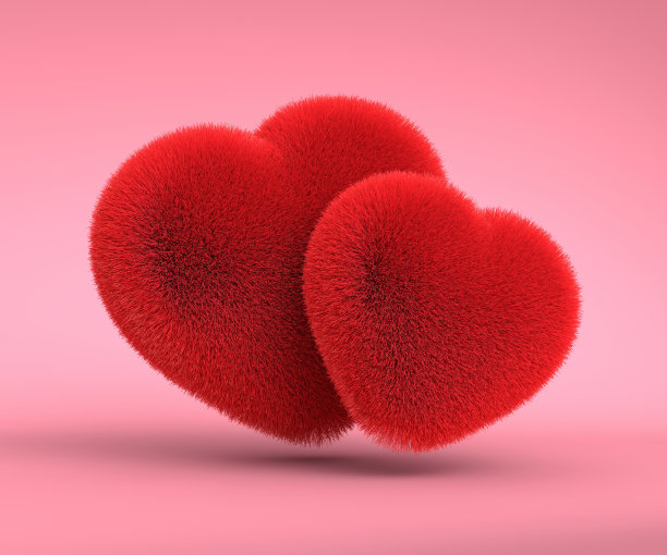 可爱的情人节卡片，上面有两颗毛茸茸的红心。情人节的节日插图。3D渲染图片下载