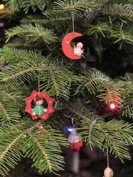 装饰圣诞树图片下载