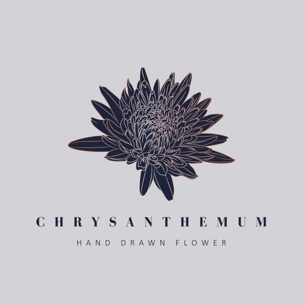 植物乡土时髦的热带菊花插图。金色蓝色花卉标志设计。徽章，标志，有机化妆品的标志，花商，摄影标志。图片下载