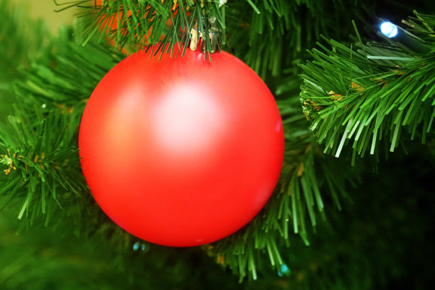 哑光红色球在树枝上的圣诞树特写。节日和新年背景图片下载