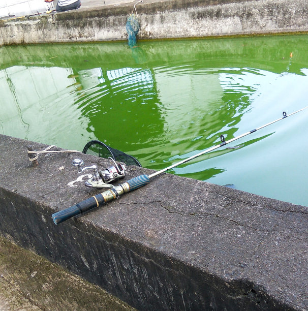 在池塘里钓鱼图片下载