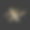 字母X标志设计模板。X字母的商业标志和公司形象向量与黄金，时尚，翼的概念图片下载