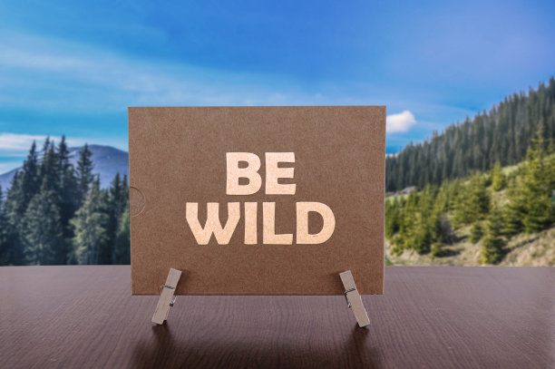 将野文放在桌卡上以山谷为背景。图片下载