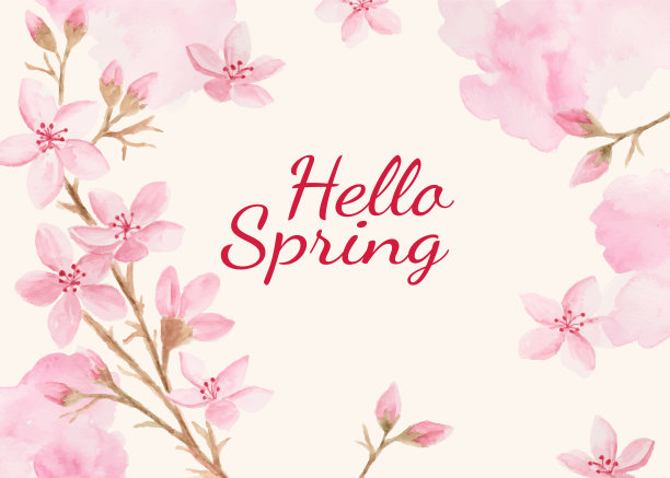 美丽的水彩画樱花或樱花作为春天的背景。图片下载