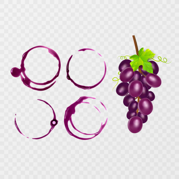 红酒污渍。酒溅设置痕迹。矢量图图片下载