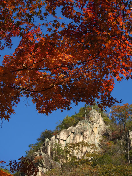 山谷岩墙和秋叶图片下载
