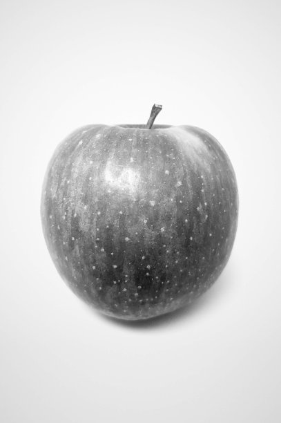 苹果黑白照片，铅笔画风格图片下载