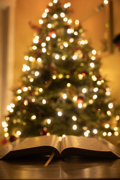 打开圣经和圣诞树图片下载