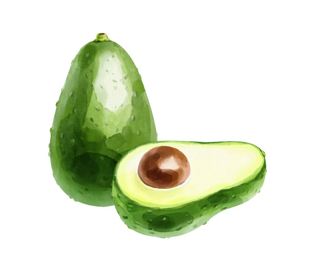 一整个水果和半个鳄梨在白色背景上的水彩画组成。手绘插图图片下载