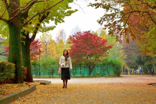 走在银杏树秋叶色下的日本妇女图片下载