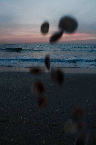 海螺掉落，背景是日落时的海洋图片下载