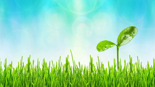 蓝天背景上的绿草和冉冉升起的嫩绿嫩芽，象征着对新生命的奋斗。生态学的概念。图片下载