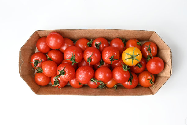 西红柿图片下载