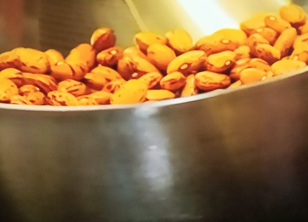 法吉奥利·博洛蒂图片下载