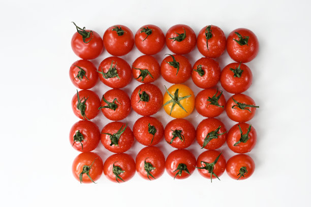 西红柿图片下载