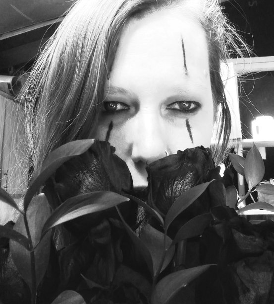 黑玫瑰图片下载