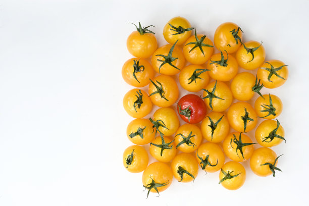 西红柿图片下载