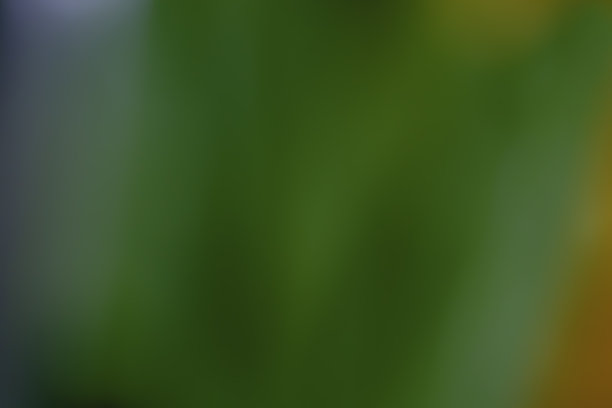 绿色，橙色和白色模糊的背景图片下载