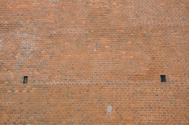 在砖墙前面图片下载