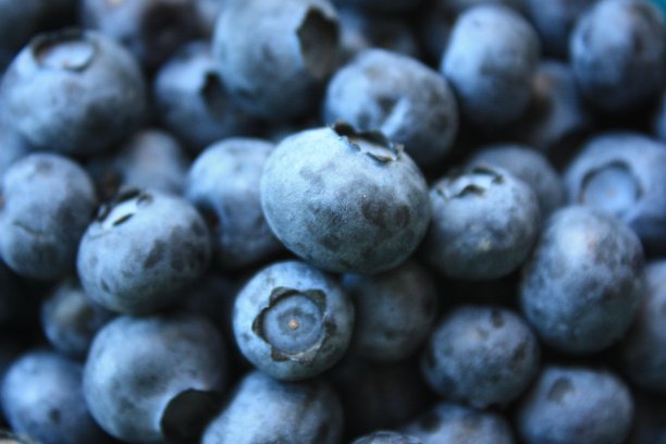 蓝莓图片下载