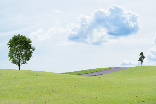 绿色的田野上，白云、蓝天和树木美丽地叠放着。图片下载
