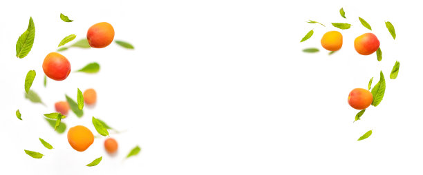 绿色的薄荷叶和多汁的成熟的杏果在空中随意飞舞，白色的背景孤立。长长的食品横幅与复制空间图片下载